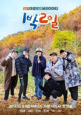 一起去露营吧 慢综艺在线观看